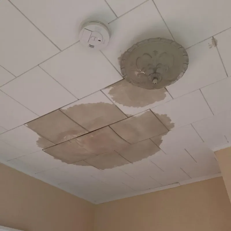 Ceiling Water Damage Repair in Jefferson County, OK