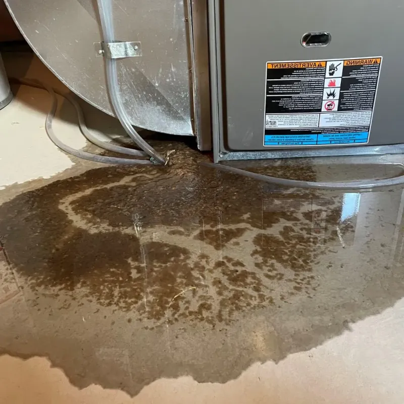 Pipe Burst and Leak Restoration in Jefferson County, OK