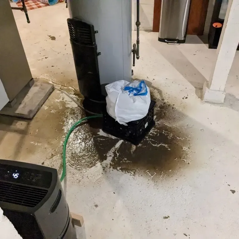 Sewage Backup Cleanup Service in Jefferson County, OK